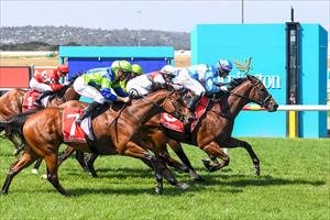 QUEENSLANDER ON THE BOARD FOR NEW STABLE